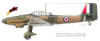captured_ju87d.jpg (21929 bytes)